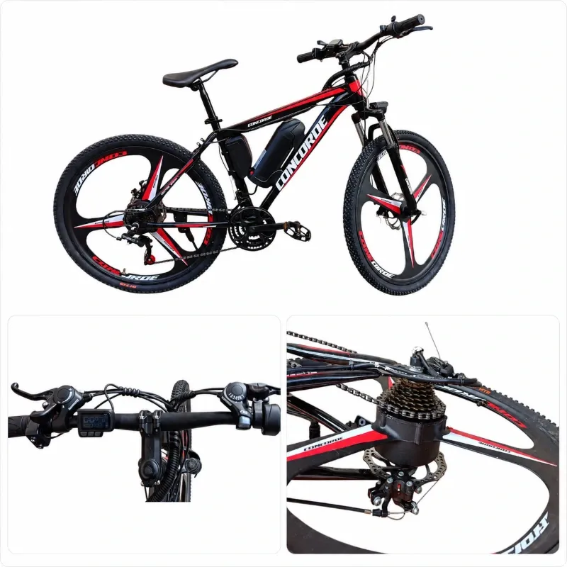 BICICLETA ELÉCTRICA CONCORDE