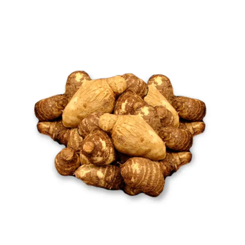 Malanga (5 Lb)