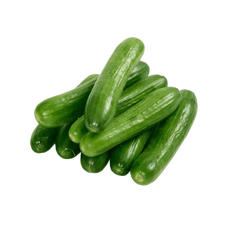 Pepino (5 Lb)