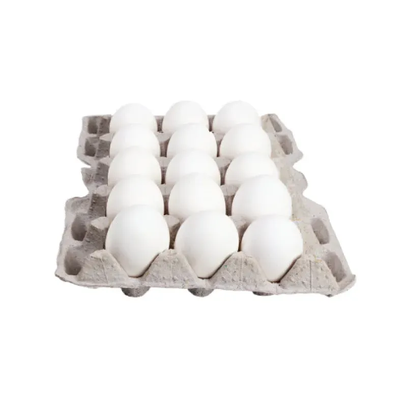 Carton de Huevos 15u