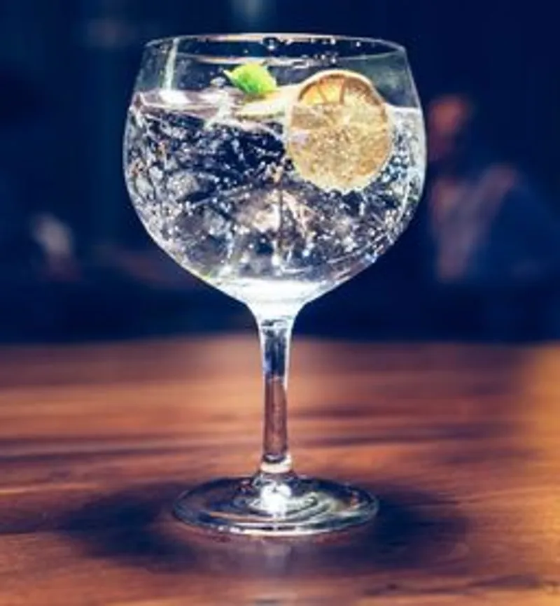 Gin Tonic 