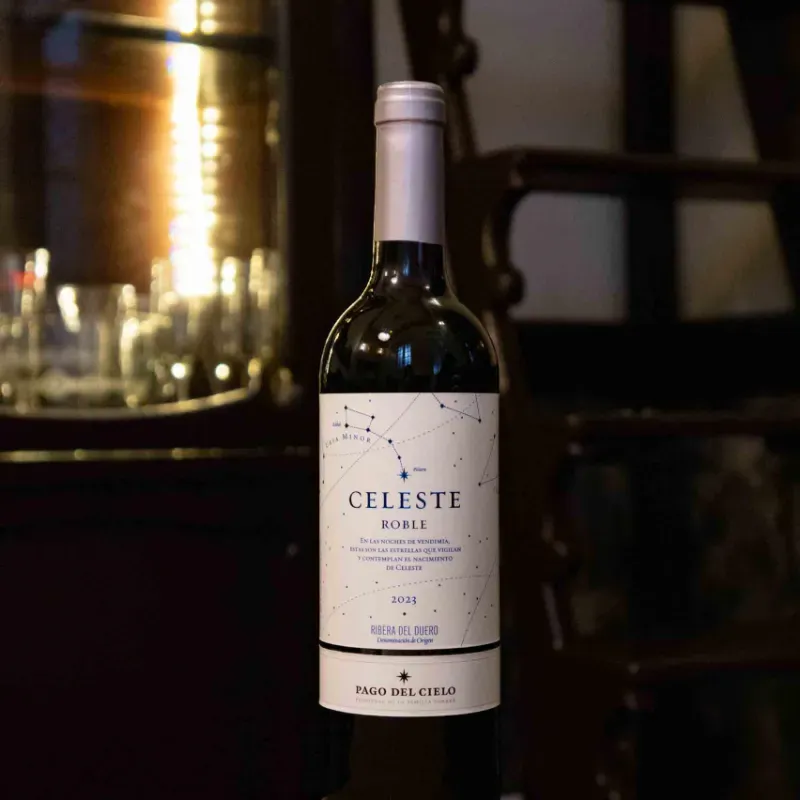 V/T Celeste Roble
