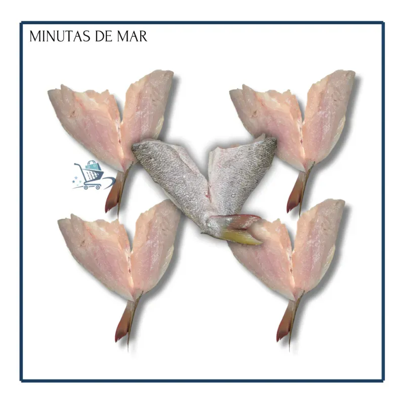 Minuta de Mar EXTRA XXL(5u) de 6 a 7L