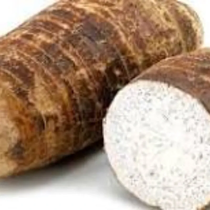 Malanga