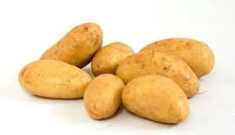 Papas