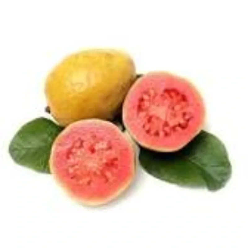 Guayaba (5 Lb)