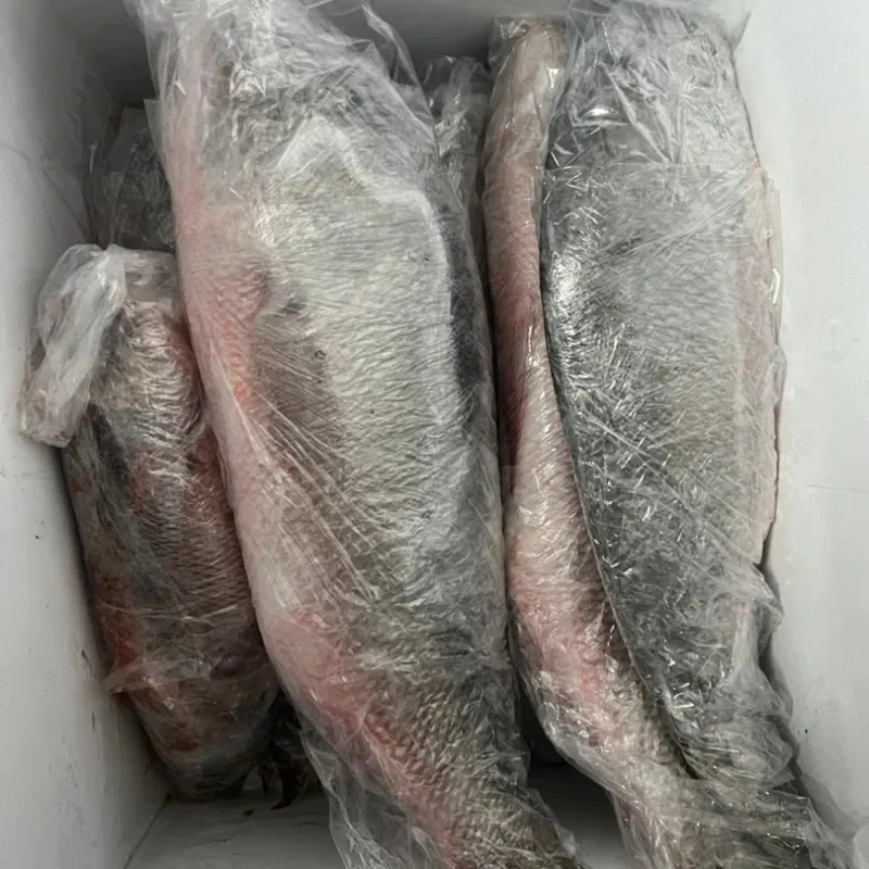 Pescado de mar