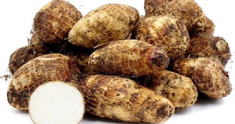 Malanga 