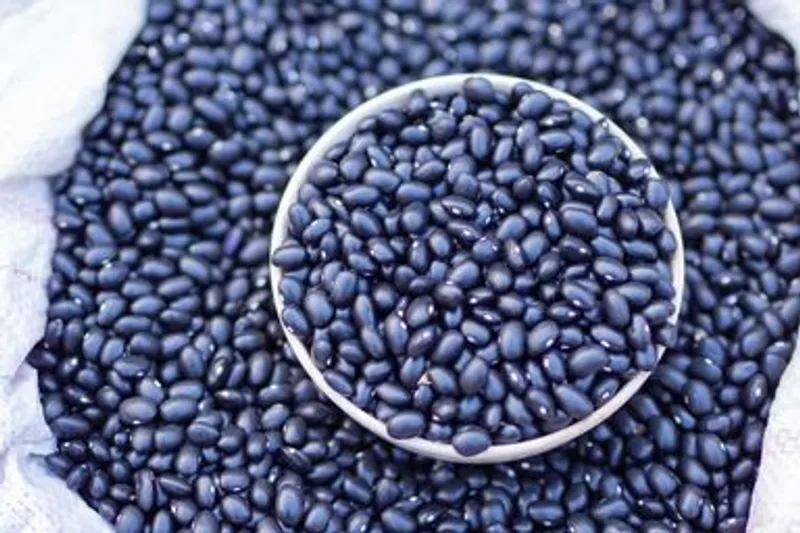 Frijoles Negros