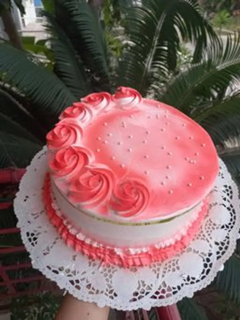 Cake  Max Casual 