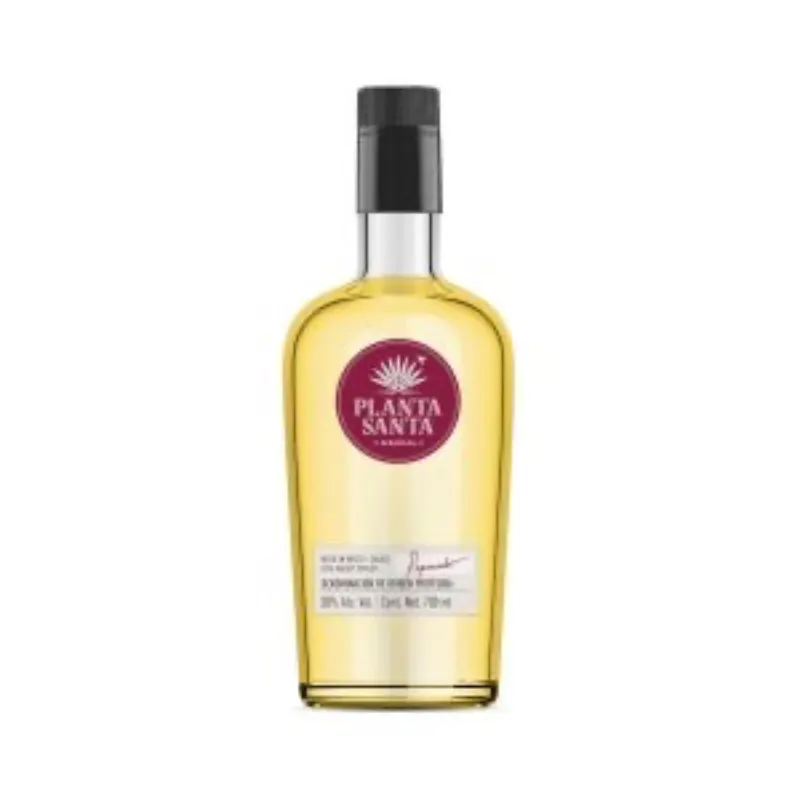 Mescal Planta Santa 