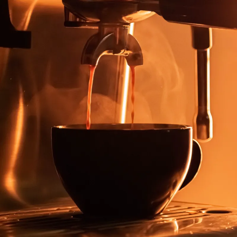 Café Rocío de Gallo 