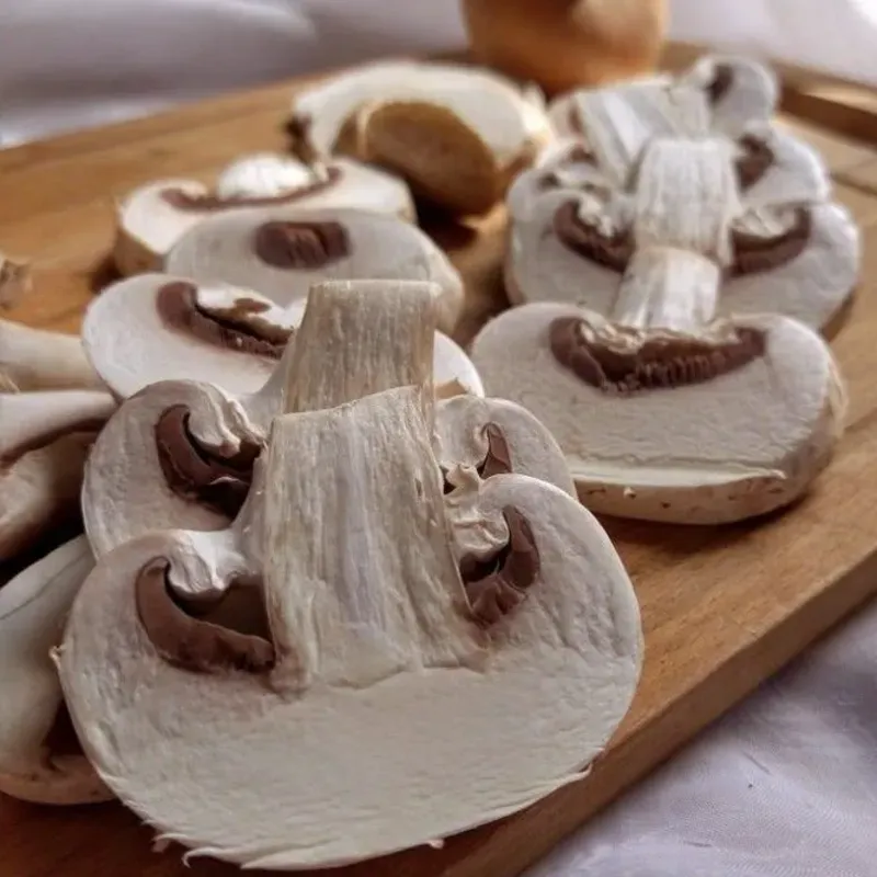 Champiñones 