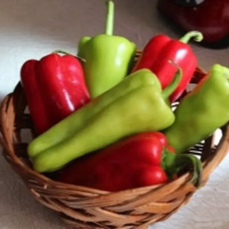Pimiento 