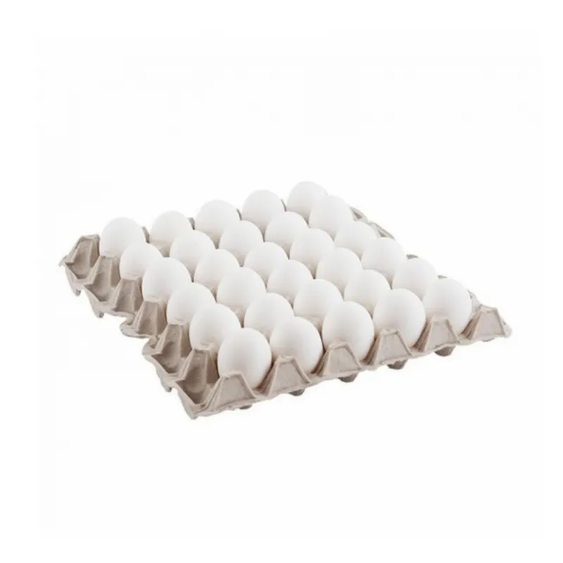 File de huevo ( 30 unidades) 🥚
