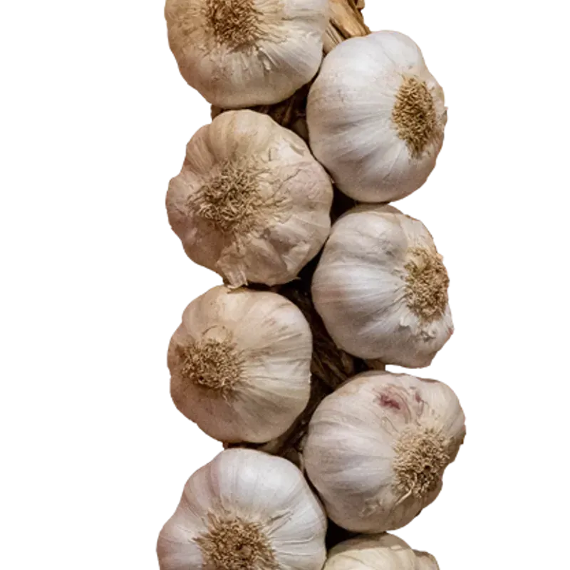 PATA DE AJO 🧄