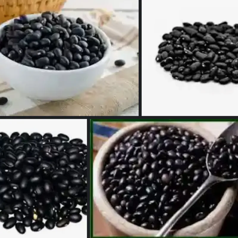 Frijol negro x lb 