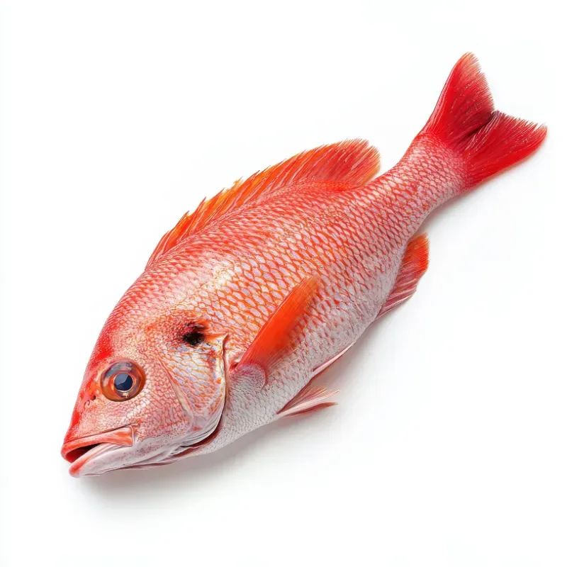 Pescado Entero Pargo Listo para Asar - 5 libras *La Mejor Especie de Pargo