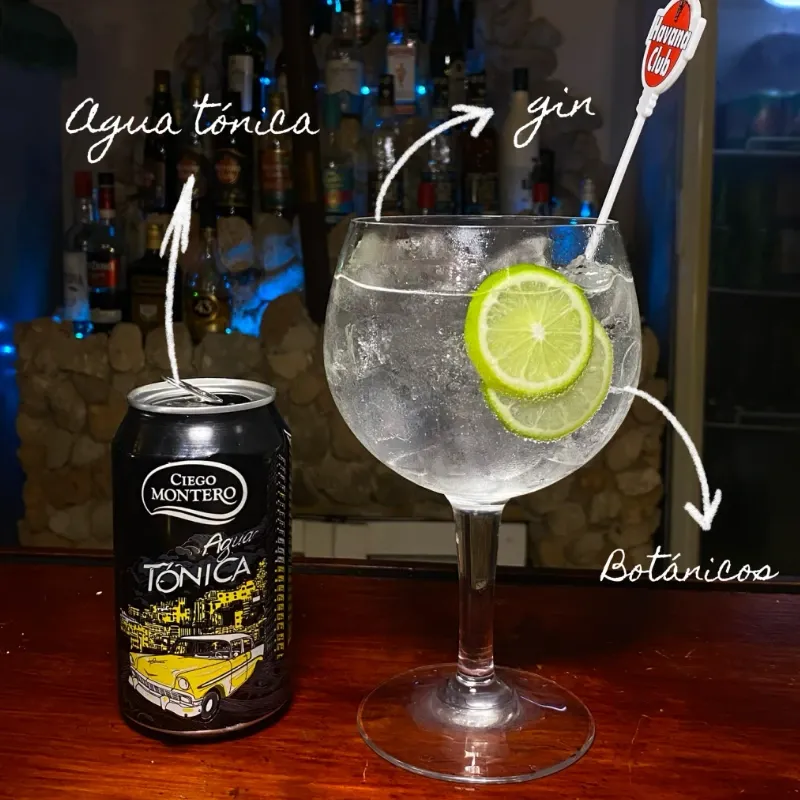 Gin Tonic 