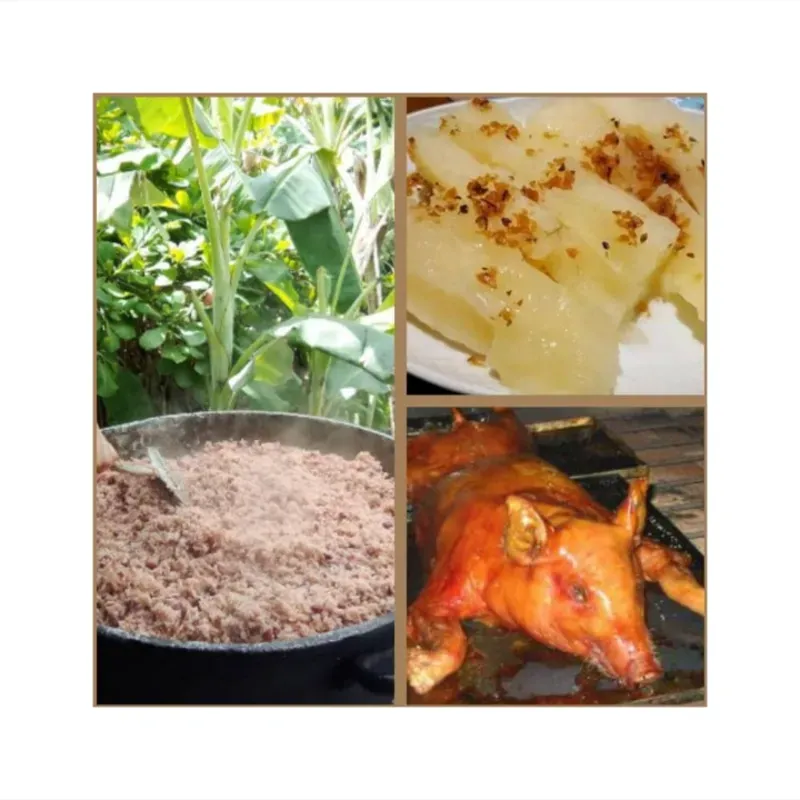 Pack de arroz yuca y cerdo 