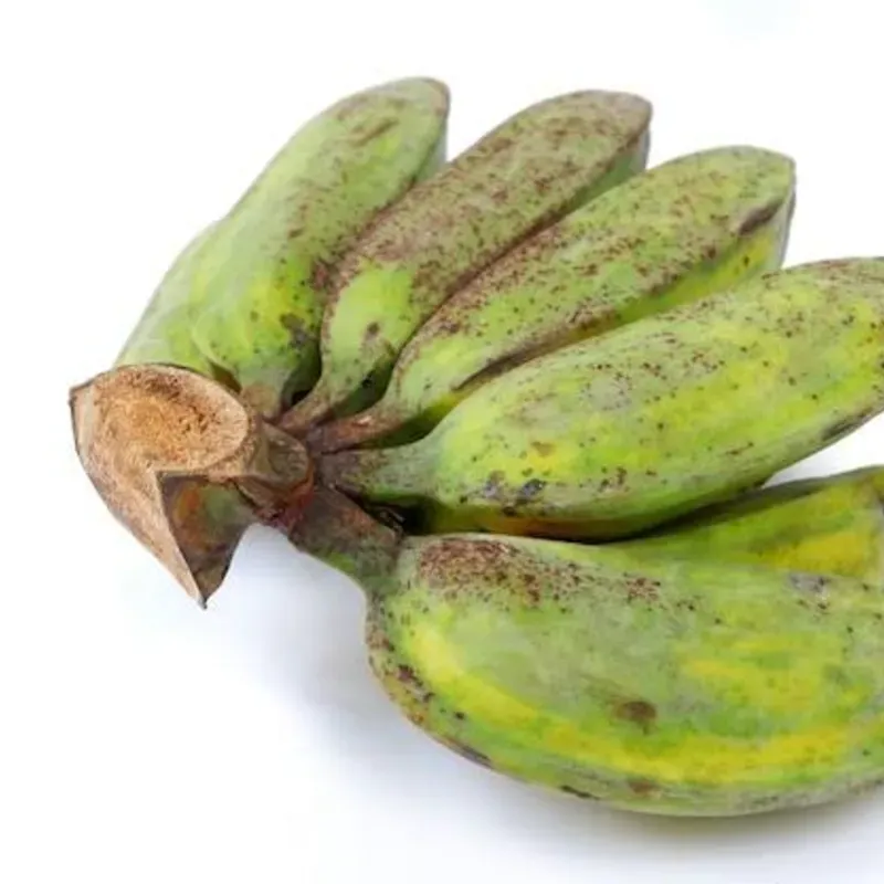 Fongo Verde