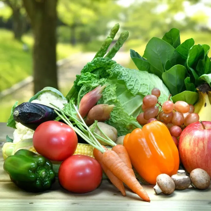 Vegetal