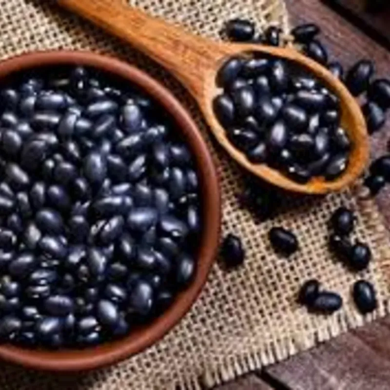 FRIJOL NEGRO 