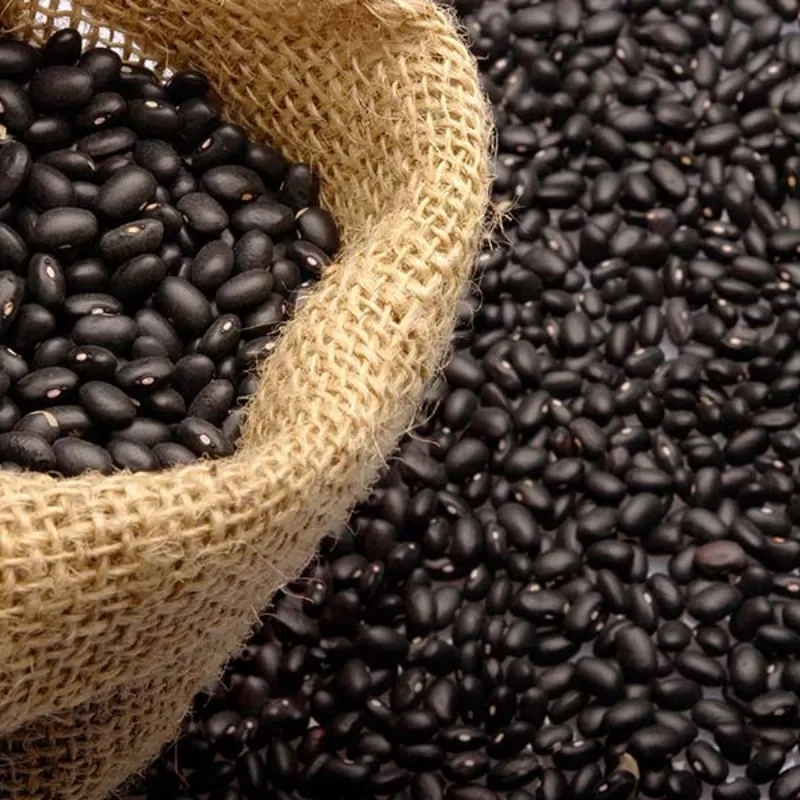 FRIJOLES NEGRO