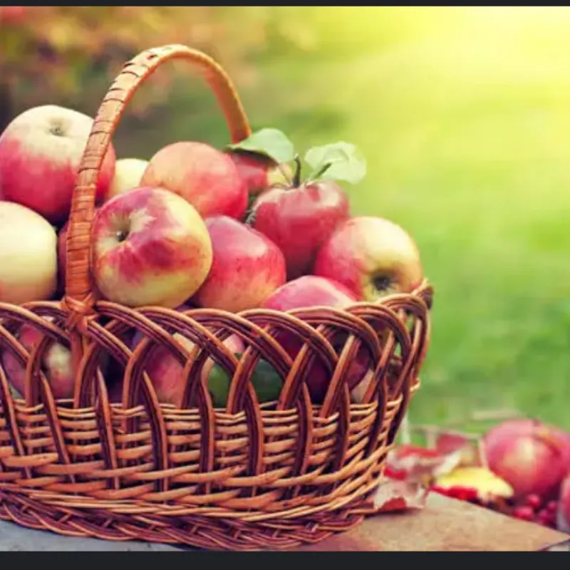 MANZANA