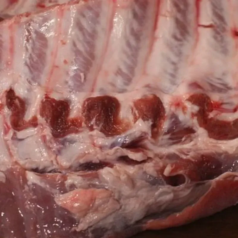 Costilla 