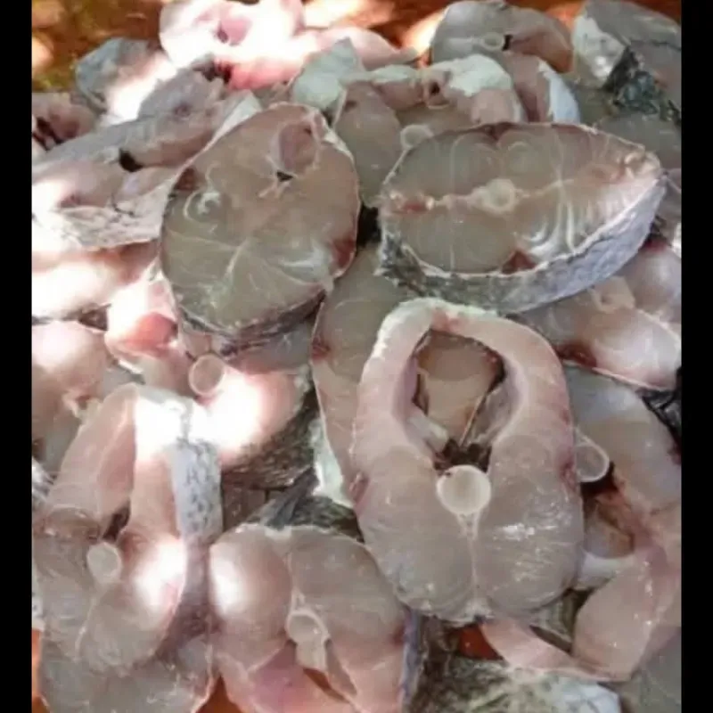 Ruedas de pescado 