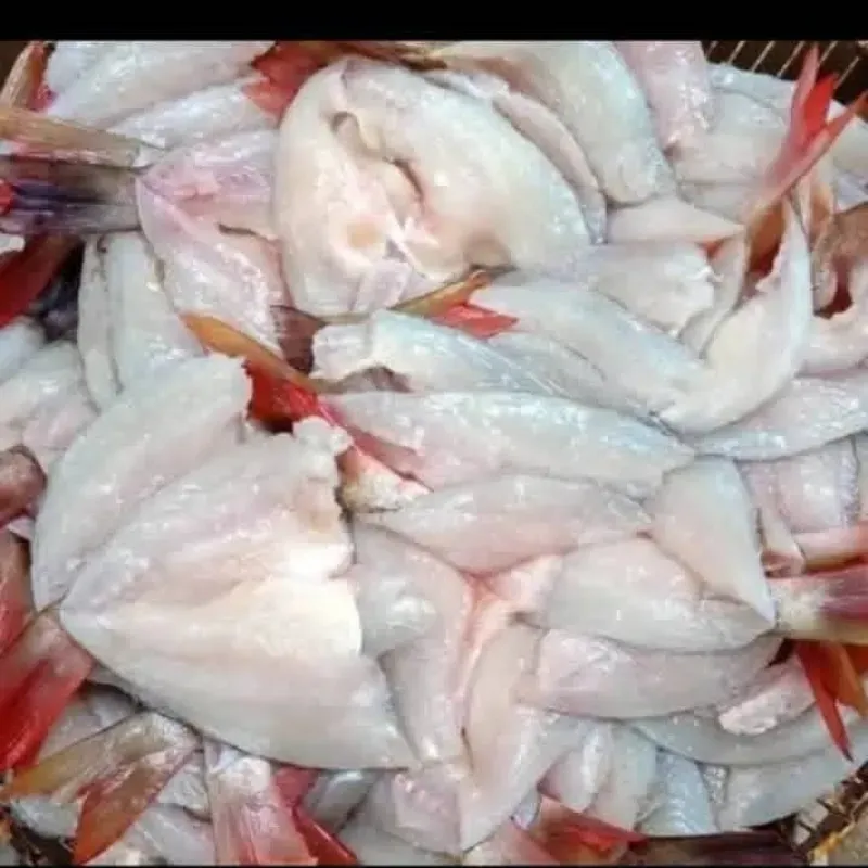  Paquete Minuta de pescado de mar