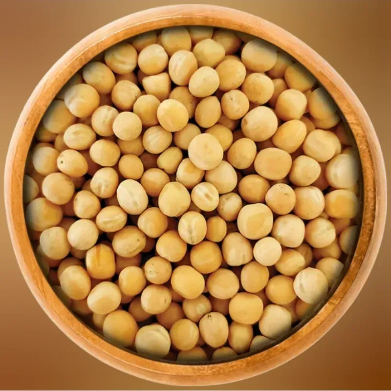 Garbanzo