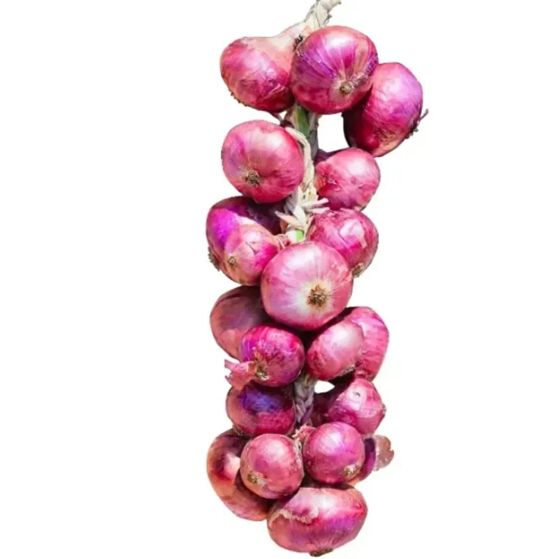 Pata de Cebolla 
