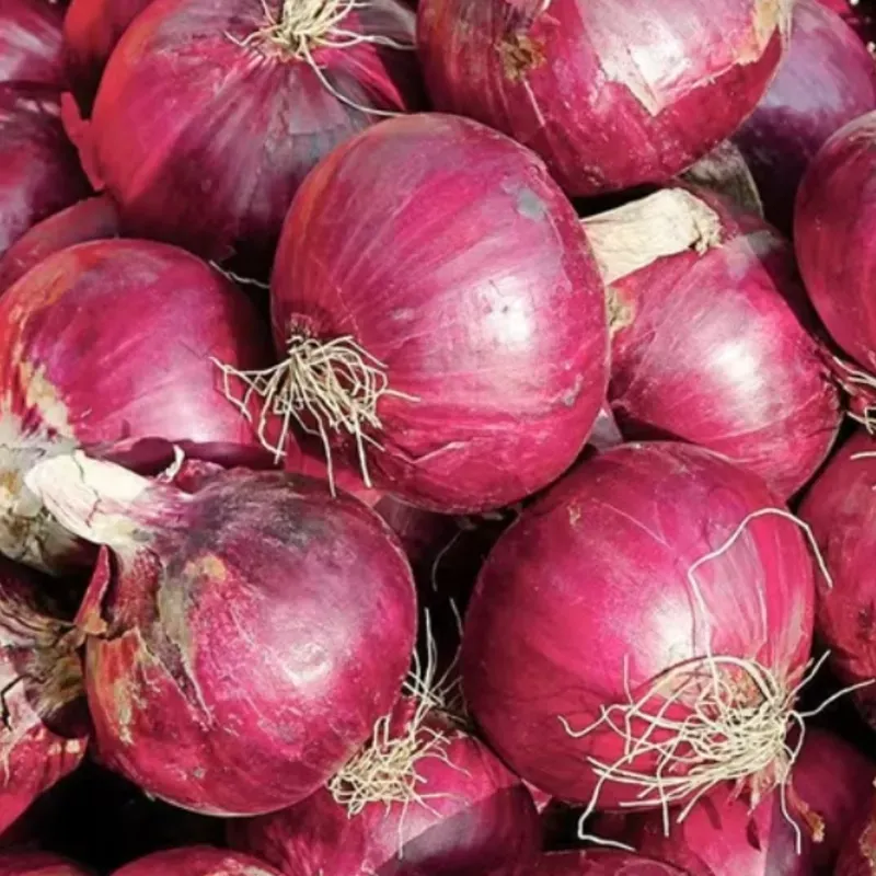 Cebolla Morada
