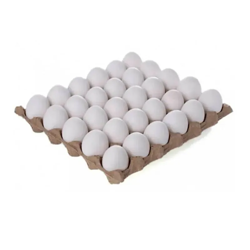 Fili de Huevos