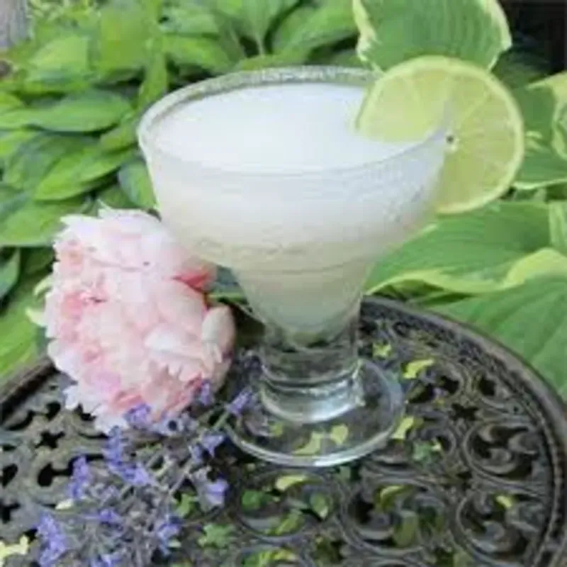 Daiquiri Frappe