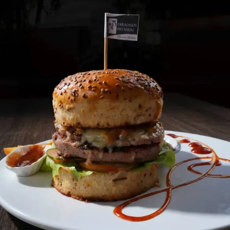HamburPremium